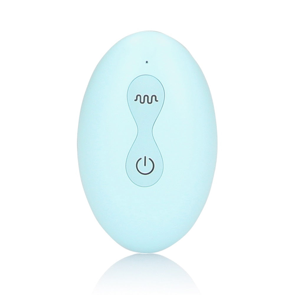 Remote Control Panty Vibrator